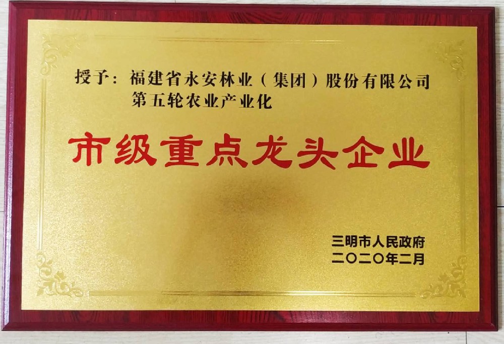 2020市級(jí)重點(diǎn)龍頭企業(yè)