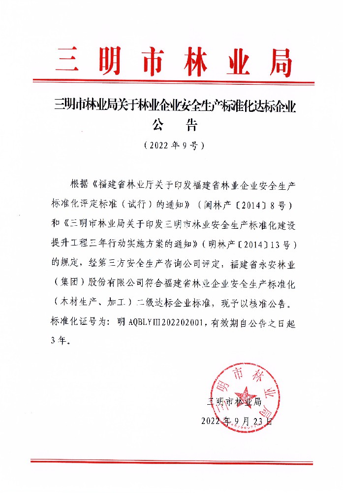 安全生產(chǎn)標(biāo)準(zhǔn)化二級達(dá)標(biāo)企業(yè)