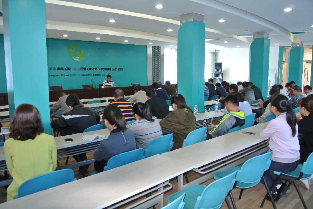 永林股份公司黨委召開黨委（擴大）會議學習貫徹黨的十九大精神