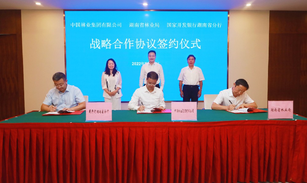 中林集團與湖南省林業(yè)局、國開行湖南省分行簽署戰(zhàn)略合作協(xié)議