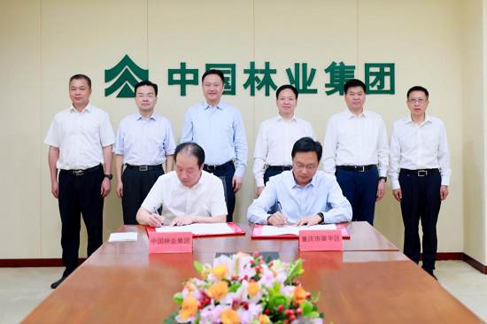 中林集團(tuán)與重慶市梁平區(qū)人民政府簽署戰(zhàn)略合作協(xié)議