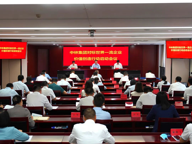 中林集團召開對標(biāo)世界一流企業(yè)價值創(chuàng)造行動啟動會議
