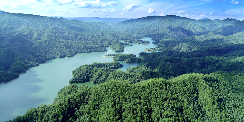 首個全國生態(tài)日 | 學(xué)“兩山”理念 繪生態(tài)畫卷