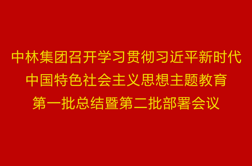 中林集團召開學(xué)習(xí)貫徹習(xí)近平新時代中國特色社會主義思想主題教育第一批總結(jié)暨第二批部署會議