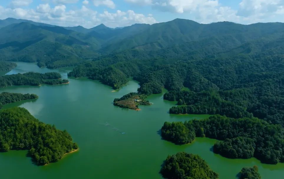 永安林業(yè)發(fā)布首份環(huán)境、社會(huì)和治理（ESG）報(bào)告