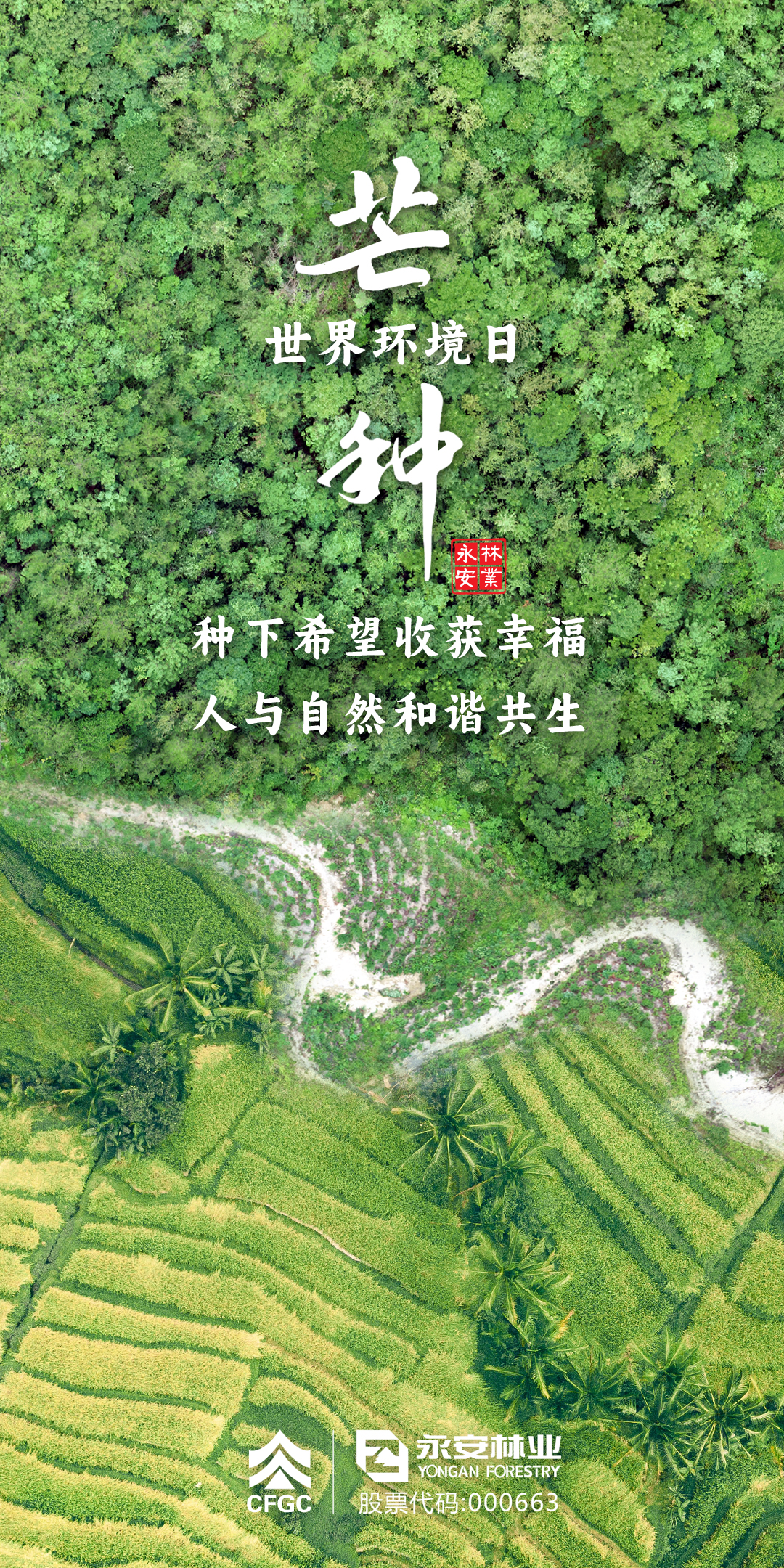 芒種、世界環(huán)境日海報(bào).jpg